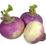 Turnip