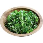 Watercress