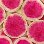 Watermelon Radish