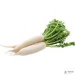 White Radish (Daikon Radish)