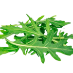 Wild Rocket Sanitized